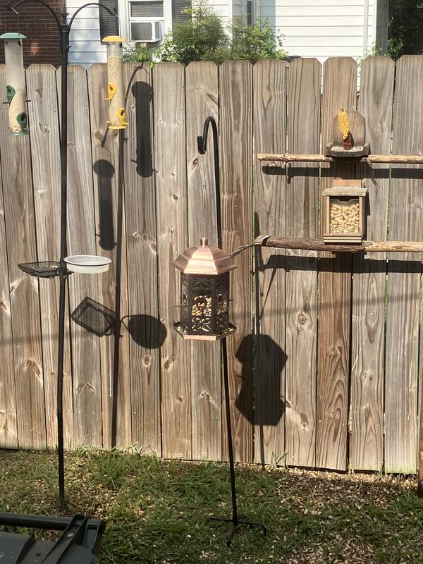 Half of my feeders