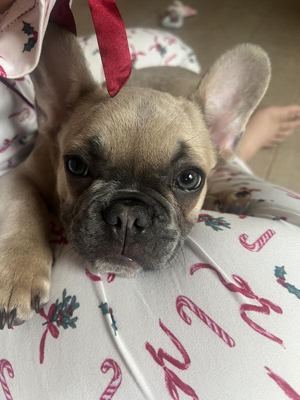 The redness in his ears is gone