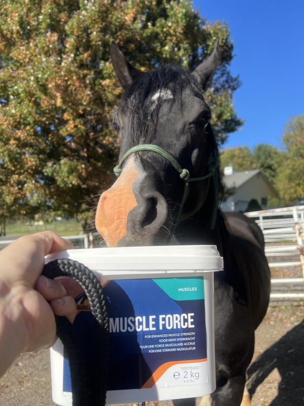 Jet is hoping this makes him muscle man