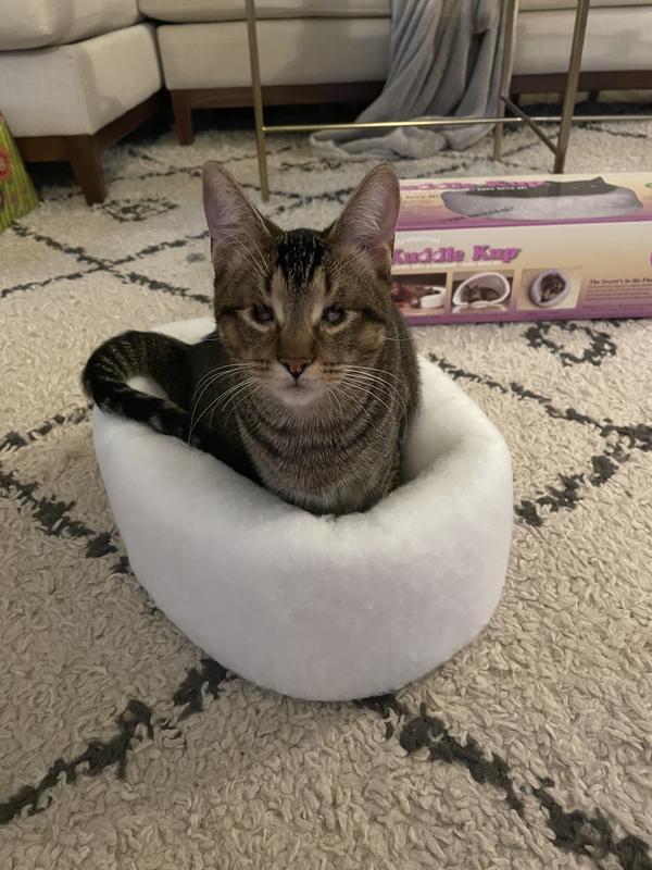 Kuddle kup hotsell cat bed