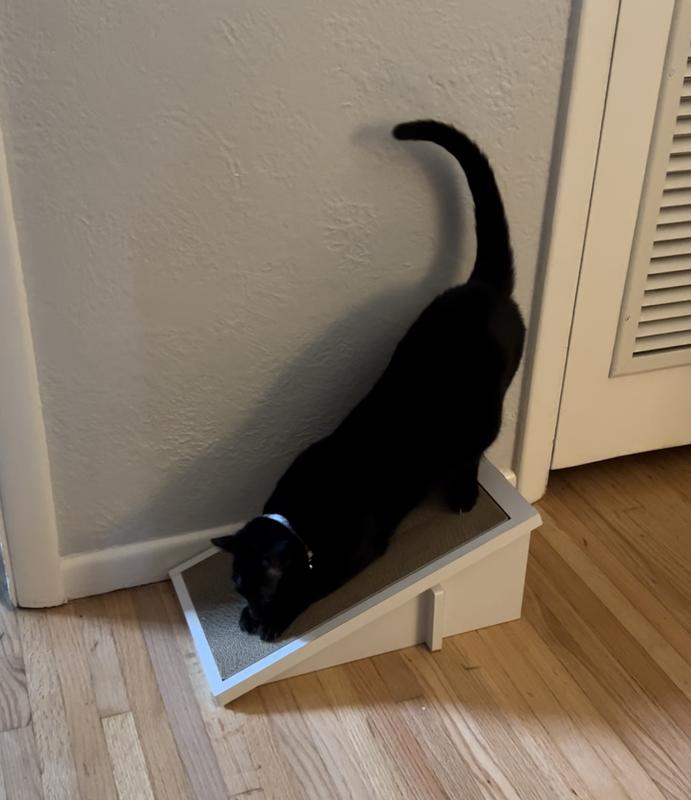 WAY BASICS Katzone Scratching Ramp with Catnip, Royal Walnut