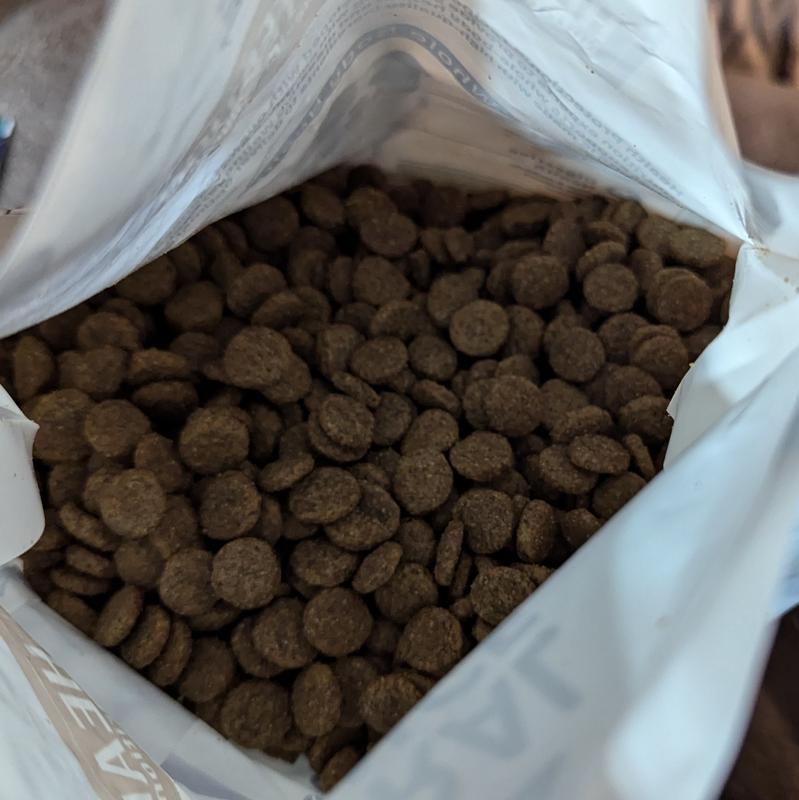 Kibble size is for larger dogs