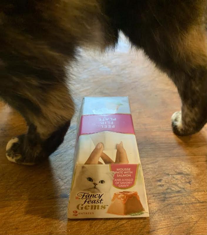Kitty got excited the second I put the box on the table!