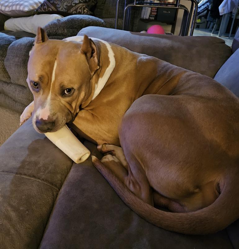 I wuvs my busy bone!!