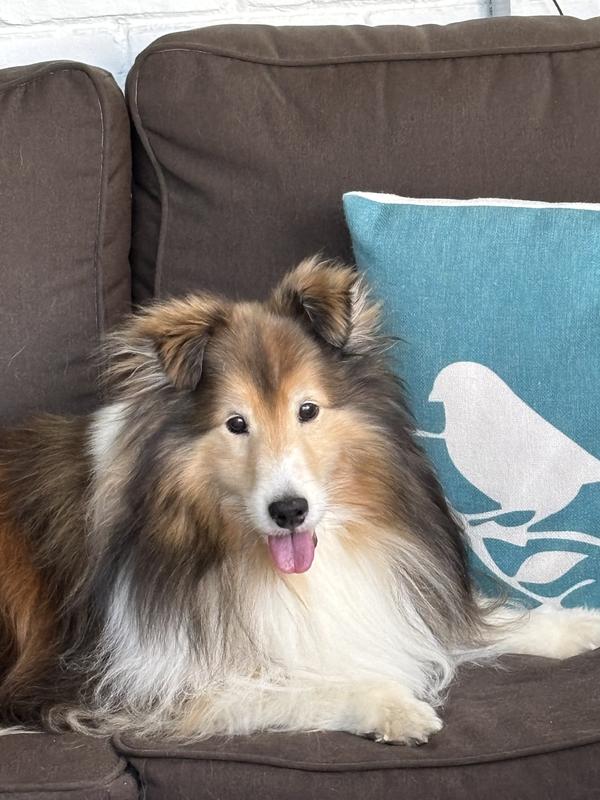 Feeling much better now!