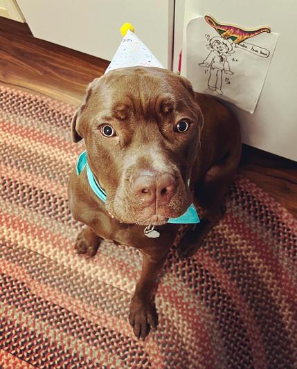 Frank in his too small hat and scarf for his first birthday.