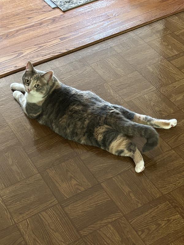 Paint me like one of your French girls Jack
