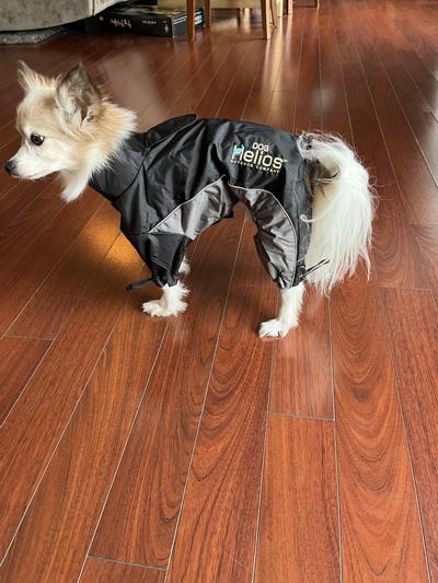 Helios blizzard hotsell dog jacket