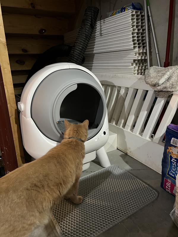 Checking it out
