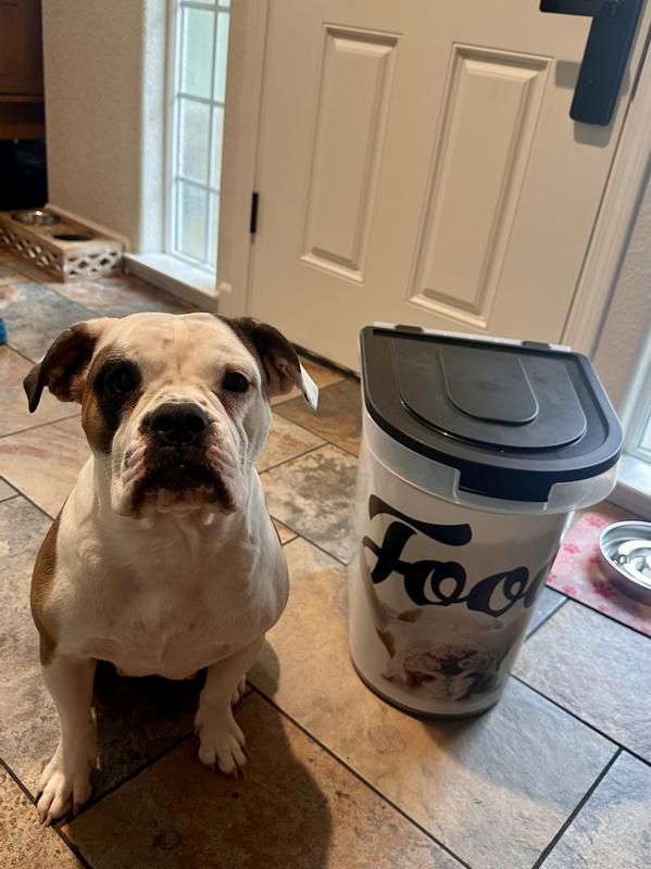 Please feed me, mom!