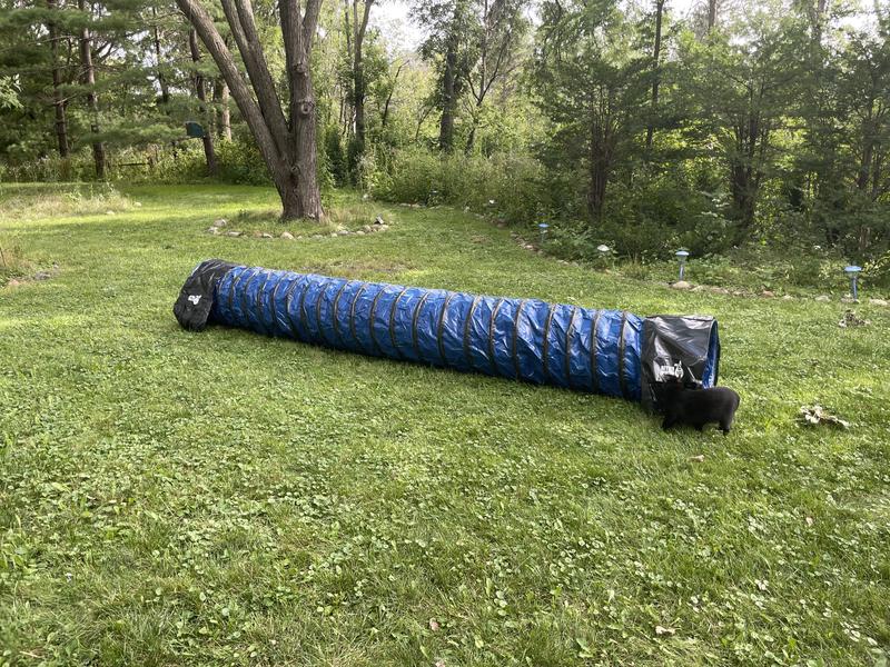 Tunnel stretched out in yard