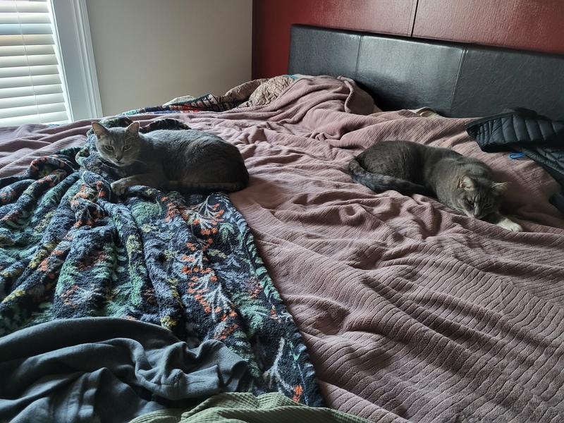 Calmer after a few days of use.