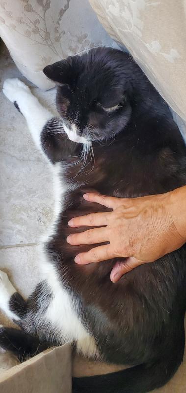 Left a residue once dry