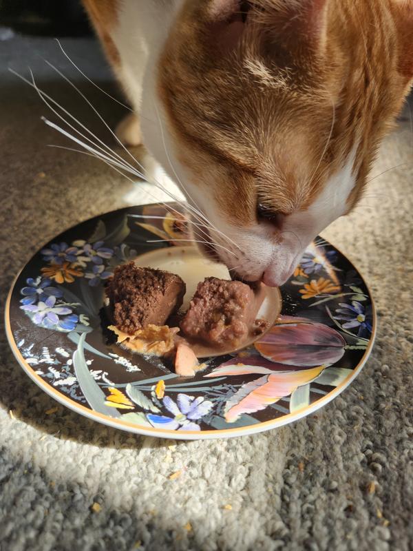 Soulistic food is the one lighter in color, can see each car prefers this one!