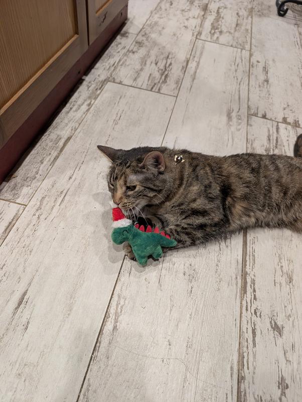 Whizzy loves her dino!!