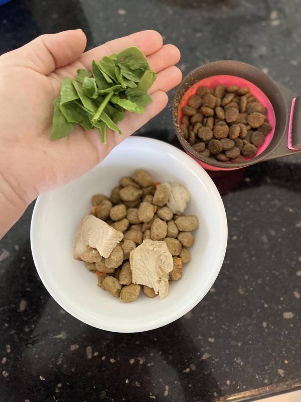 Grilled chicken, fresh pet kibble, and spinach combined with dry food.