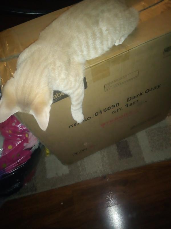 He was so eager to open