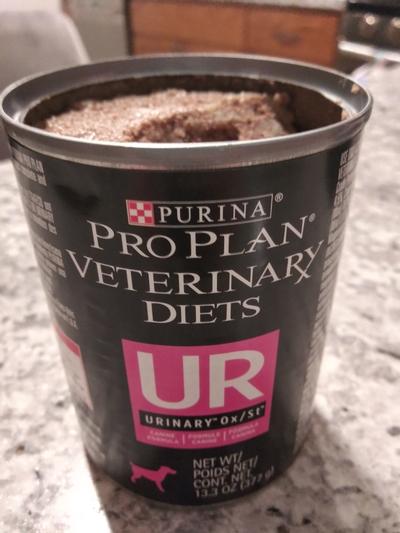 PURINA PRO PLAN VETERINARY DIETS UR Urinary Ox/St Wet Dog Food, 13.3-oz  can, case of 12 - Chewy.com