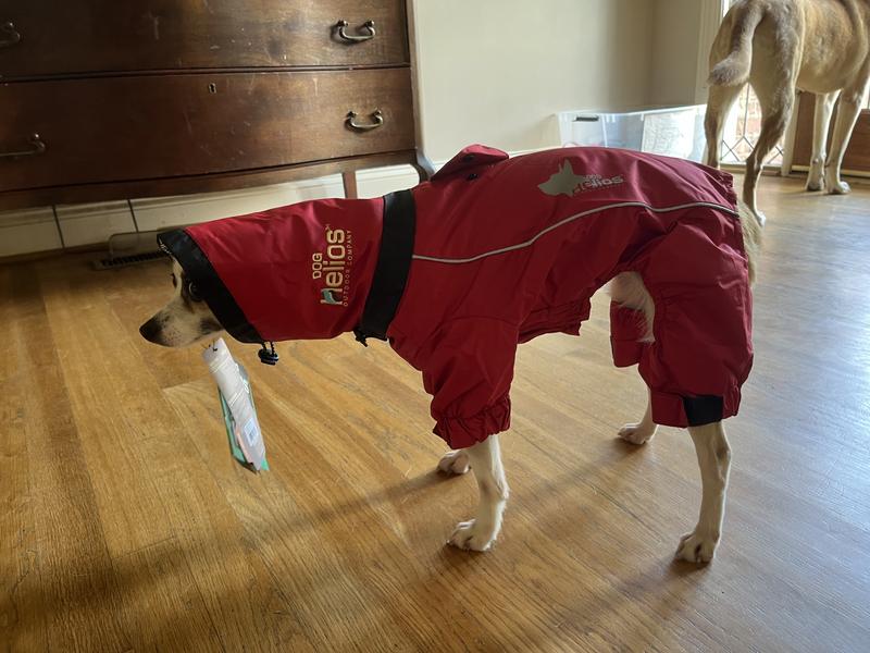 Twinning with the pose