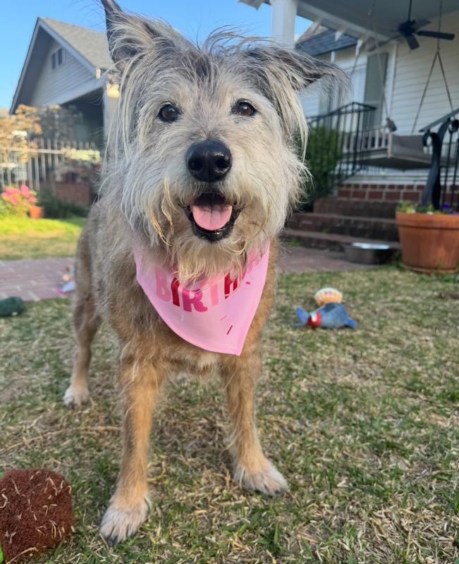 Birthday Girl