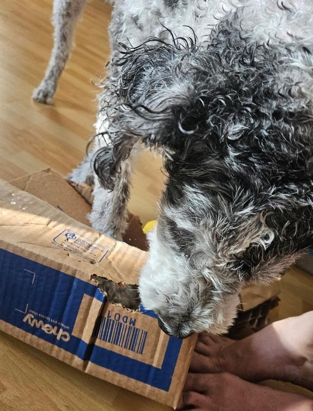 Half the fun is opening the box