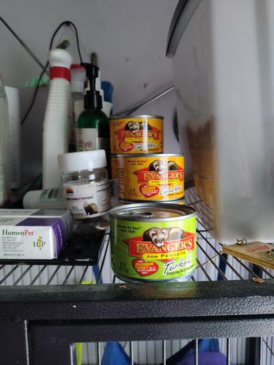 Canned ferret outlet food