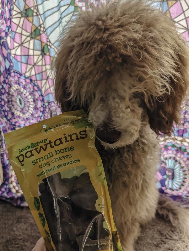 Give a Dog a Bone! Puppy Approved!