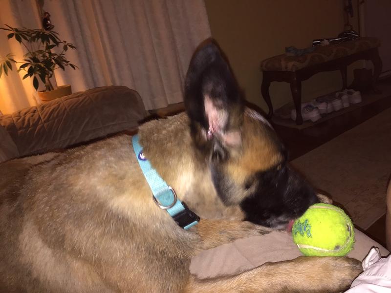 Eyes on the ball if teeth aren't on it.