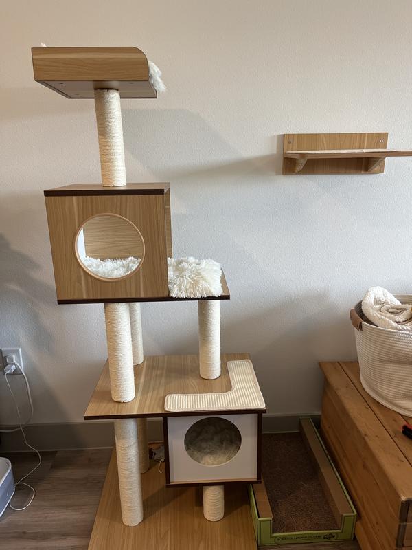 FRISCO 62-in Modern Cat Tree & Condo, Natural - Chewy.com