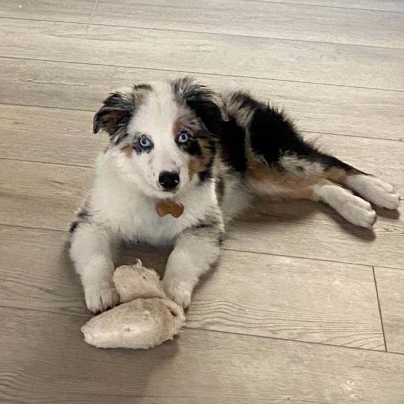 Resting after a good play session with the soft fleece is priceless for mom and dad!