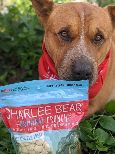 are charlee bear dog treats health