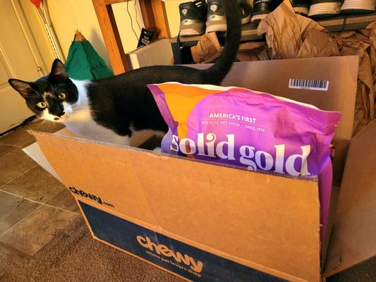 Chewy solid clearance gold cat food