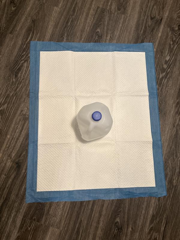 Gallon jug of water for scale