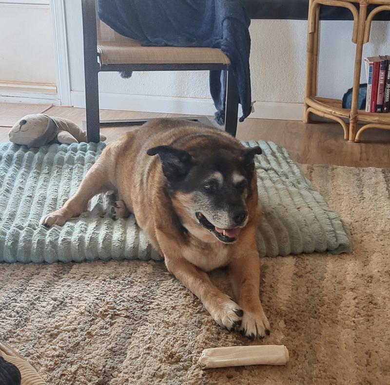 I like the pumpkin, it helped. Love my momma