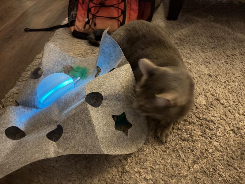 Easy assembly and includes extra lure pieces. Much smaller than product photo suggests.