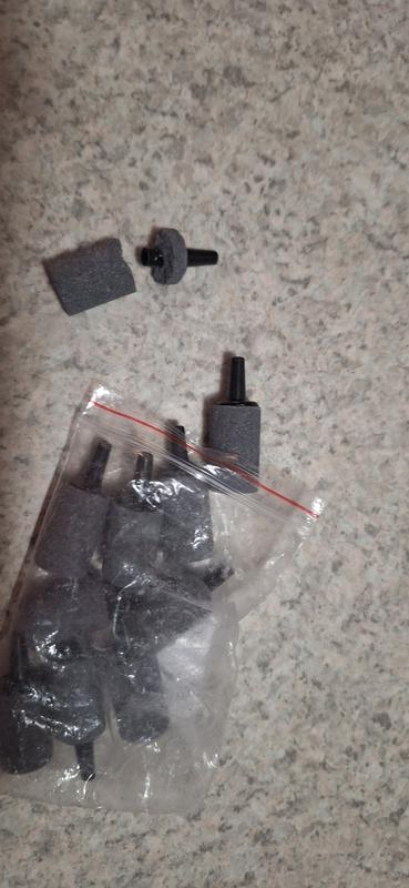 Being shipped they should have had more protection