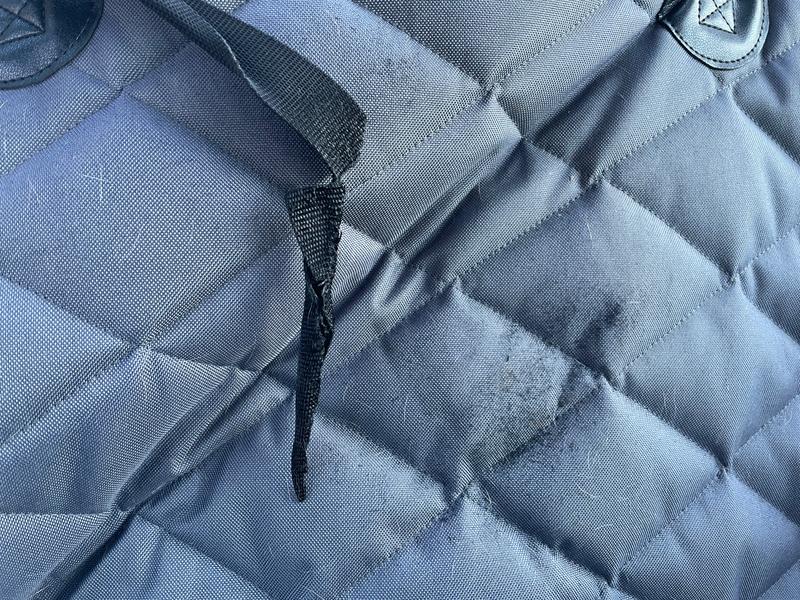 Not chewed. Disintegrated straps for holding the seat cover.  They crumble in your hand.