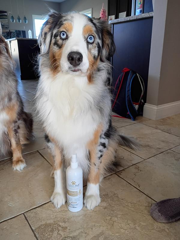 Looking fancy before his spray