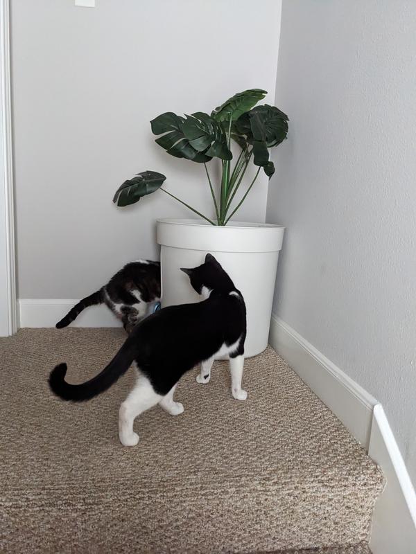 FRISCO Hidden Planter Cat Litter Box, 16in