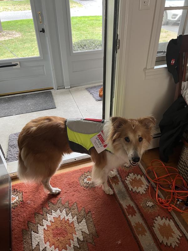 Short and high at neck