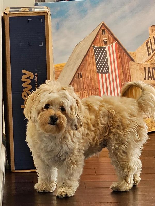 Joey saying mom open the box , I know whats in it