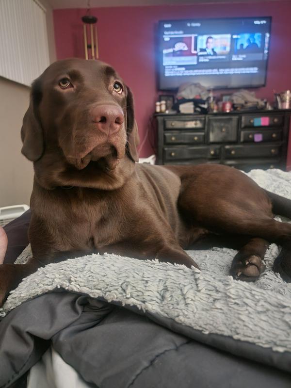 My girl
