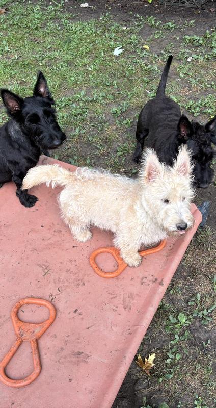 Always arguing over it.