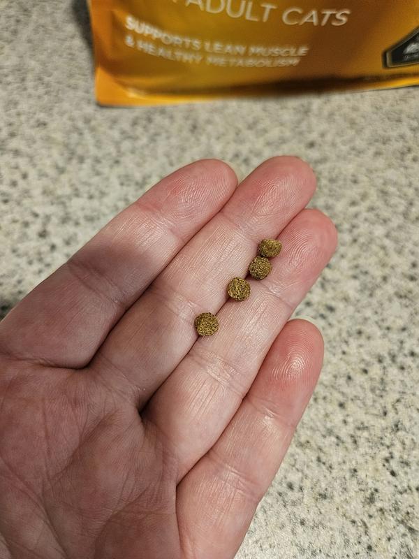 Tiny kibble