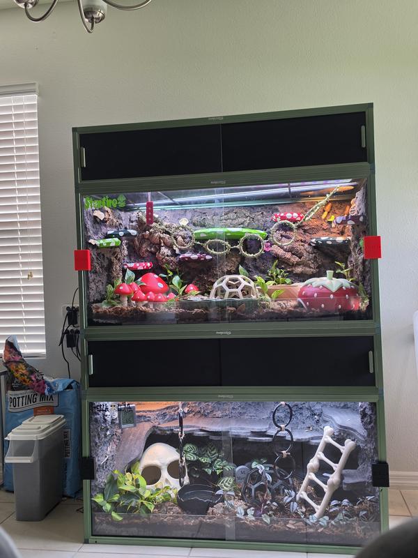 T5 with led light strip for ball pythons