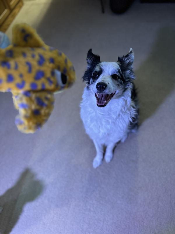June is thrilled about her new toy.