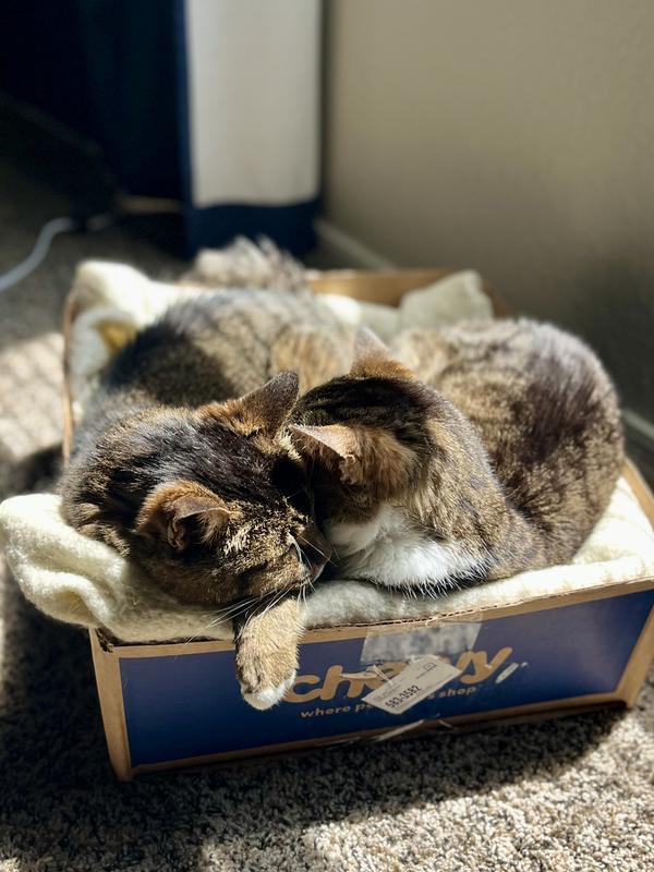 Comfy shipping box, thx Chewy