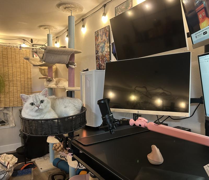 Dwarf kitty likes it, but then again she also adores cardboard boxes.