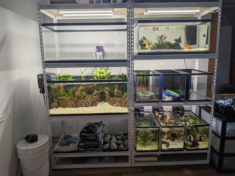 Left middle shelf tank utilizing about 50lbs of dragon stone.