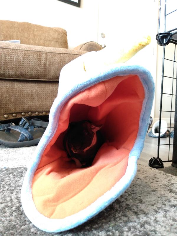 Wednesday in the narwhal (pre wash)